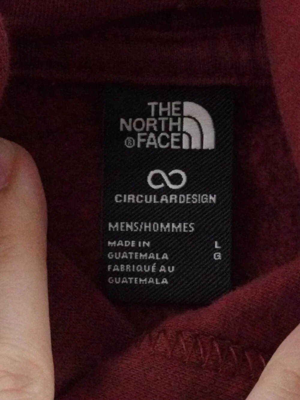 The North Face Hoodie Mens Large Evolution Bear Graphic Print Pull Over Red